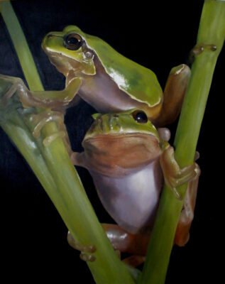 Clases de pintura